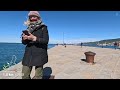 virtual run in italy trieste city center 4k 60 fps