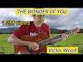 Victor Wood-The Wonder Of You,,Instrumental Guitar With Lyrics