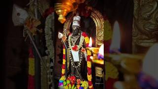 Palani Subrahmanya Swamy idol is made with navapasha(9 poisonous substances)#tamilmusic#ytshorts#shorts