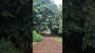 Calm Rainy Ramna Park | The heart of Capital City #dhaka | Travel with SAM |