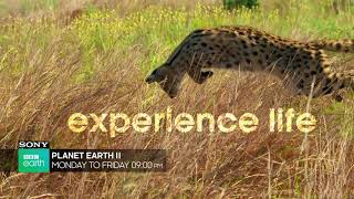 Sneak Peek: Planet Earth II | Hindi | Sony BBC Earth