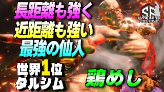 【世界1位 極・ダルシム】これがヨガの力…ッ！長距離も強く近距離も強い最強の仙人 鶏めしダルシム｜ 鶏めし (ダルシム) vs ニシキン (ブランカ) , YHC-餅 (ダルシム) 【スト6】