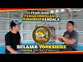 4 Tahap memulai ternak dan merawat Kenari yorkshire | mencetak kenari postur di Tobacco BF