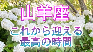 【個人鑑定級】山羊座♑️これから迎える最高の時間😍✨🌟人生全般・仕事・恋愛🌈海月チャンネルhappyオラクルメッセージ🌈タロット＆オラクルカード