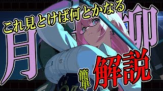 【ゼンゼロ】これ見とけば何とかなる「月城柳」解説 ！音動機,ディスク,編成【ZZZ/ゼンレスゾーンゼロ】