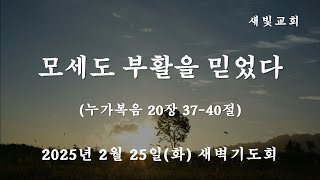 [새빛교회 새벽기도회] 모세도 부활을 믿었다│누가복음 20장 37-40절│김용일 담임목사 │ 2025년 2월 25일