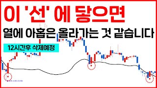 연봉 100억 트레이더도 모르는 숨겨진 이동평균선의 비밀 폭로! 이 선 1개만 따라가면 무조건 돈법니다. 더이상 쉬운 매매법은 없습니다.