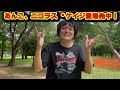 なんだこれは！ニコラス・ケイジが飼っていた豚を助けに行く！？予想を裏切る復讐劇の映画を観た【映画紹介】