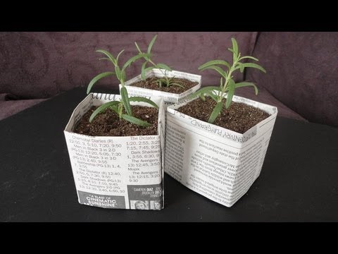 DIY: Newspaper Pots for Seed Starting/Cuttings DIY: Newspaper Pots for Seed Starting/Cuttings