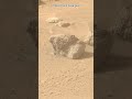 Perseverance Rover Sol 1346  | Mars New 4k Video | Mars 4k Video | Mars In 4k | Mars #shorts