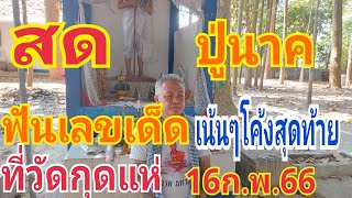 สด ที่วัดกุดแห่ ปู่นาคฟันเลขโค้งสุดท้ายที่กุดแห่ 16/2/66