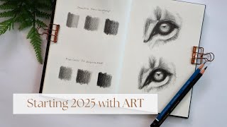 Starting 2025 Making Art  ✷ Graphite Comparison with Lion eyes 👀