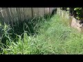 The Mess Was Hiding This Beautiful Garden | Satisfying Result!