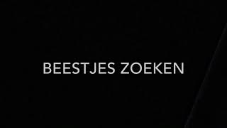 Beestjes zoeken