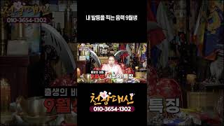 내 발등을 찍는 음력 9월생 #shorts