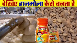 देखिए हाजमोला कैसे बनता है | Hajmola Kaise Banta Hai | How Hajmola is Made in Factory