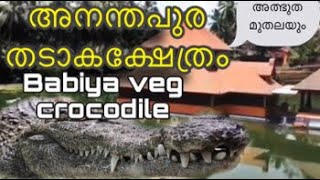 Ananthapura temple and veg crocodile അനന്തപുരവും മറ്റ് കാഴ്ച്ചകളും     [കാസർഗോഡൻ കാഴ്ച്ചകൾ]