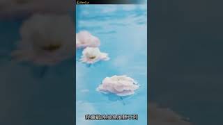 暗戀這件小事 - 趙希予（播放鷄）