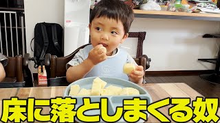 どうしてそんなに投げるの？三つ子の朝ごはん