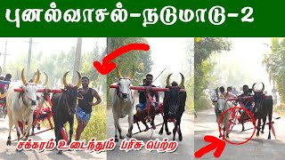 புனல்வாசல் நடுமாடு - 2  || 29-01-2022 Punalvasal Reckla  Race # VINAYAGASTUDIOMANAMELKUDI