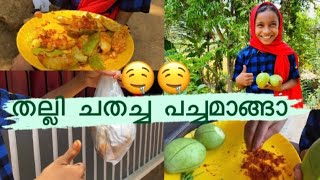 പാത്തൂന്റെ തല്ലി ചതച്ച പച്ച മാങ്ങാ recipe || mango recipe village style 🤤#villagelife #villagestyle