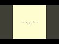 Moonlight Pulse Serene