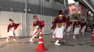 八琴栾（はちきんらん）　2015　ひめ良さ　前日祭　西二階町商店街