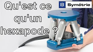 SYMETRIE : Qu'est ce qu'un hexapode ?