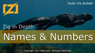 Zig in Depth: Names & Numbers