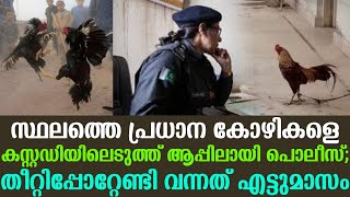 സ്ഥലത്തെ പ്രധാന കോഴികളെ കസ്റ്റഡിയിലെടുത്ത് ആപ്പിലായി പൊലീസ്; തീറ്റിപ്പോറ്റേണ്ടി വന്നത് എട്ടുമാസം