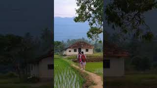 Morning view from Palakkad, Kerala❤️#palakkad #kerala   #nature #india #naturelover #travel  #viral