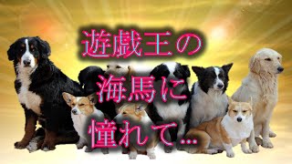 【笑える話】遊戯王の海馬に憧れて間違ってしまった高校時代