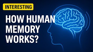 How Does Human Memory Work? The Truth Will Blow Your Mind