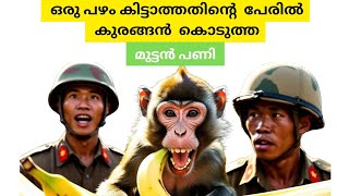 കുരങ്ങൻ കൊടുത്ത മുട്ടൻ പണി 😲😆#animals #facts #history