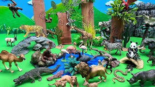 Safari World Diorama With Cardboard -Monkey Tiger Lion Family’s