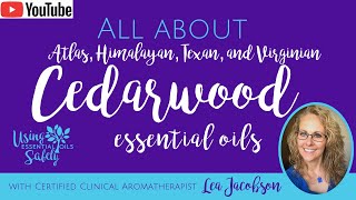 All About Cedarwood (Atlas, Himalyan, Texan, and Virginian) Essential Oils