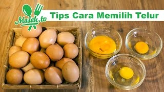 Tips Cara Memilih Telur | Kiat #067