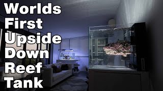 Worlds first upside down reef aquarium