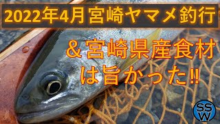 22年4月宮崎県ヤマメ釣行＆宮崎の旨い食材 Cherry Trout Yamame Fishing in Japan