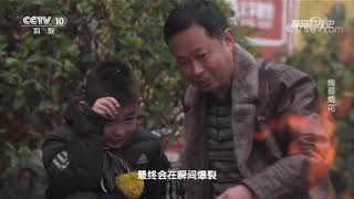 《解码科技史》 20220201 绚丽烟花|CCTV科教