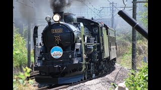 2018GW C61 SLレトロみなかみ  C61 Japanese steam locomotive