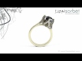 Bespoke Jewellery Animation - 2ct Rough Diamond