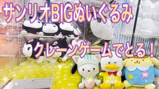 クレーンゲームでサンリオビッグぬいぐるみを狙いまくり！ポチャッコ、ポムポムプリン、ペックル、クロミ、シナモン。　157