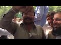 pmln worker purchased all buffaloes as symbol of love with nawaz sharif