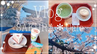 福岡Vlog:) お花見散歩 | 大濠公園 | 護国神社 | 福岡城 | SAKURA