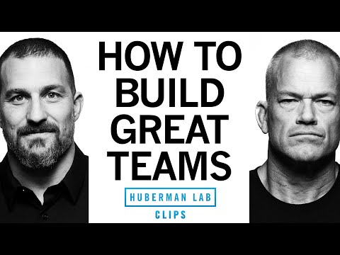 How to Build Great Teams | Jocko Willink and Dr. Andrew Huberman