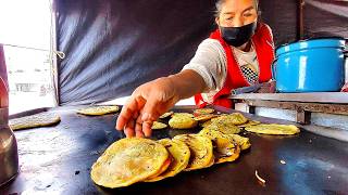 BEST Street Food In MEXICO - Tacos \u0026 Gorditas - SUPERB Chicharron