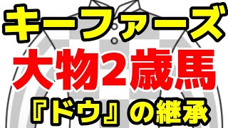 【サラーシスの21】キーファーズ大物2歳馬登場!?【『ドウ』の継承】