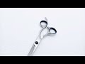 GUNST Hair Cutting Scissors 5,5 Inch