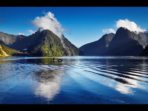 Introducing New Zealand Introducing New Zealand